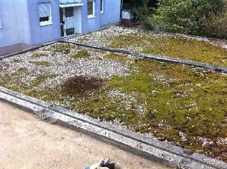 Betongarage bauen - Betongaragen in allen üblichen Größen und